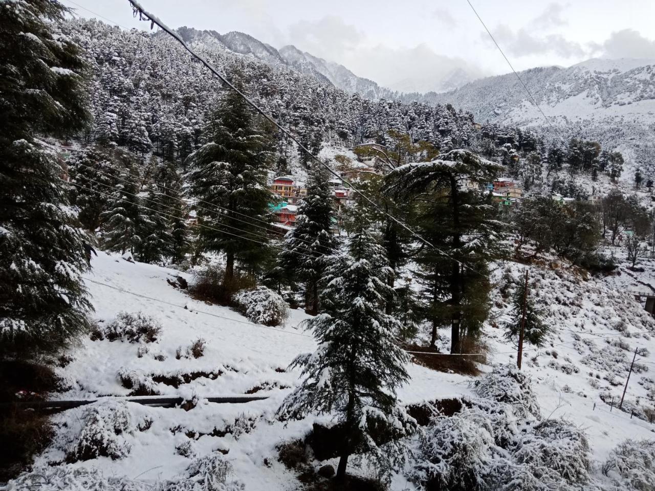 Hotel Pine Spring Dharamshala Exterior photo