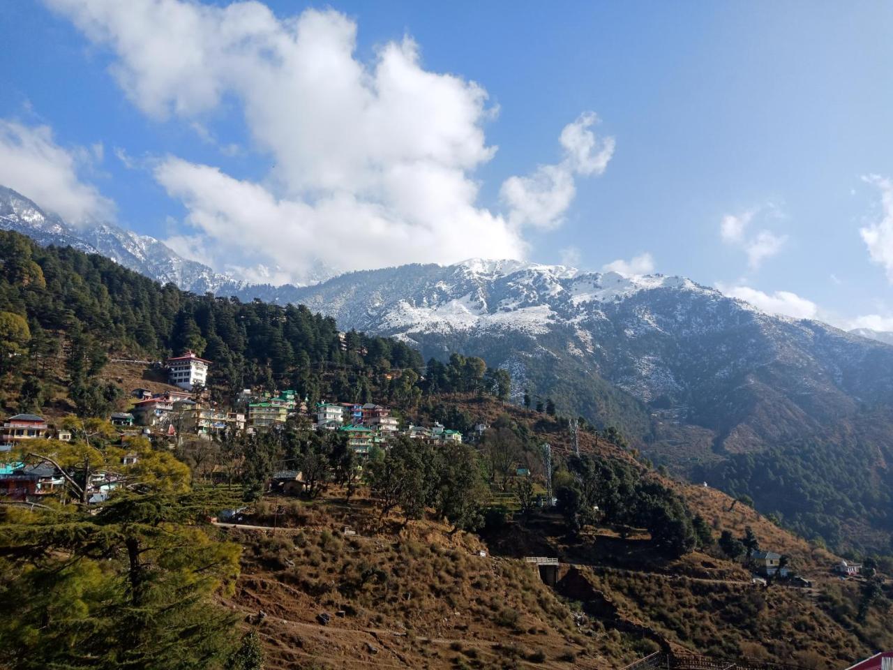 Hotel Pine Spring Dharamshala Exterior photo